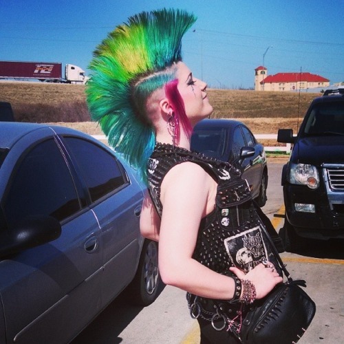 Punks & Skins