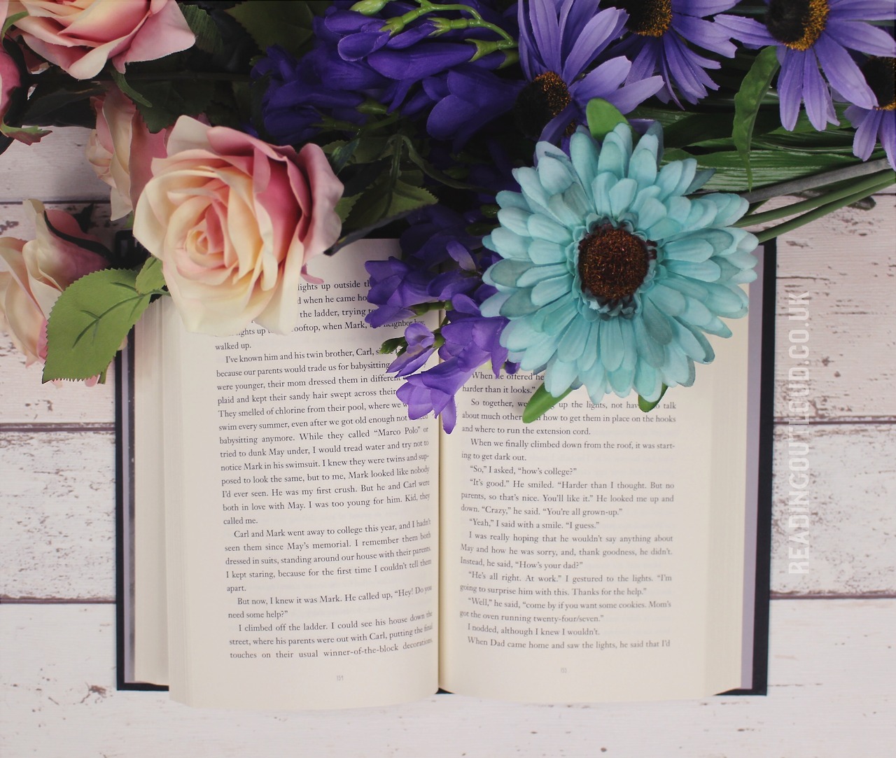 reading-out-loud: I spent my life folded between the pages of books.― Tahereh Mafi,