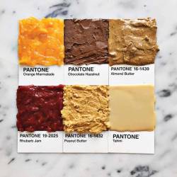 pr1nceshawn:    Pantone Food by Lucy Litman.