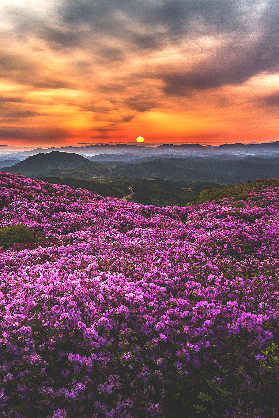 lmmortalgod:  Morning of Hwangmaesan