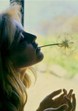 Sharon Tate photographed in Big Sur by Walter