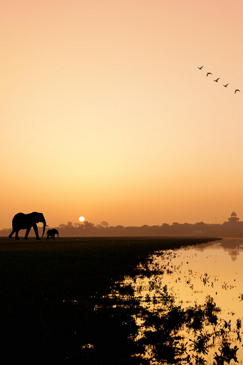 plasmatics-life:  One Day In Taj Mahal ~ ( by Arif Kaser )  