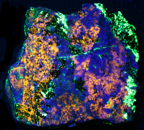 fuckyeah-mineralpwr: Fluorescent MineralsJust wanted to share these awesome things with you guys! ⭐✨