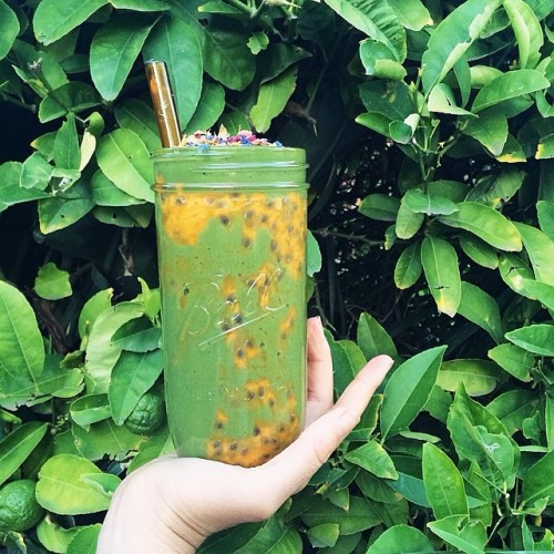 veganflowerchild: smoothblender:  ✨ABUNDANCE✨ Green smoothhayy of mango, banana, synergy greens by v