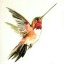 mysticperfectionbird