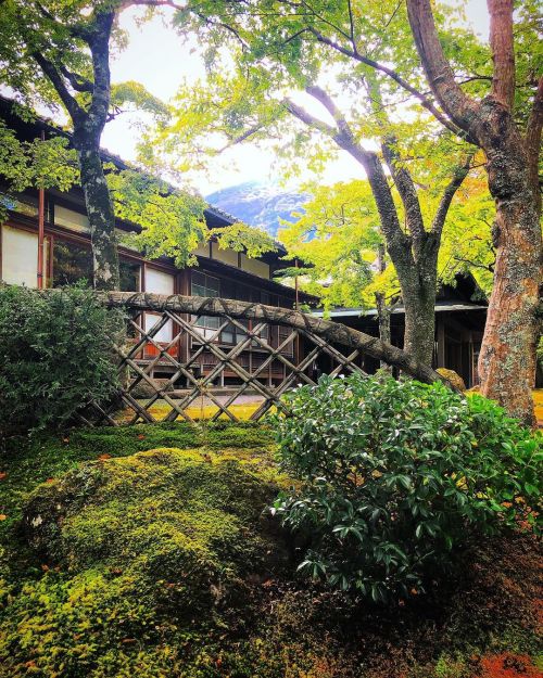 神仙郷（箱根美術館）庭園 [ 神奈川県箱根町 ] ③ Shinsenkyo (Hakone Art Museum) Garden, Hakone, Kanagawa ーー 2021年、新たな国指定名勝