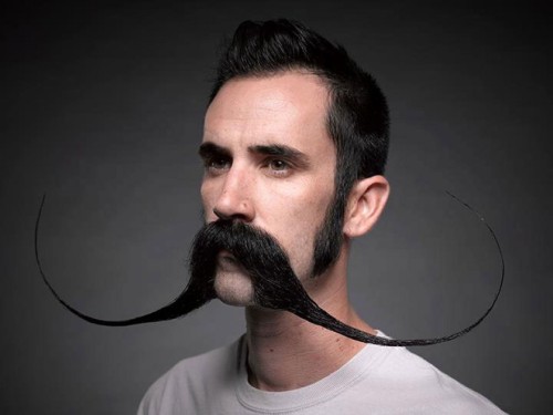 Just for men national beard and moustache