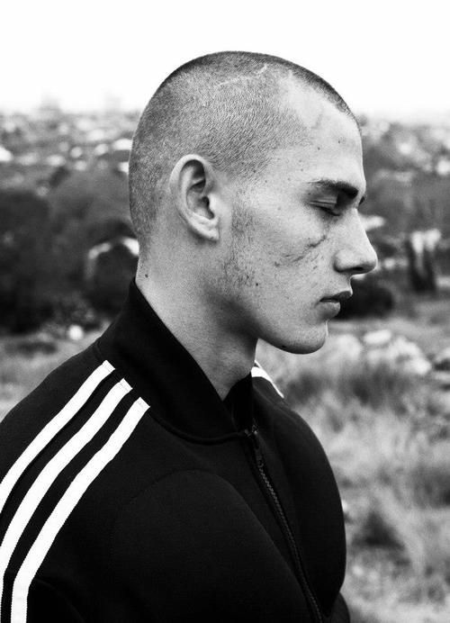 heronian