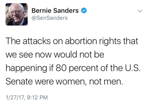 senator bernie sanders