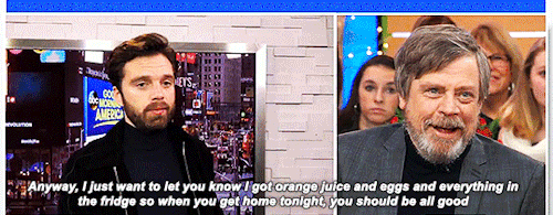 mamalaz:  Sebastian Stan leaves a message for his dad, Mark Hamill
