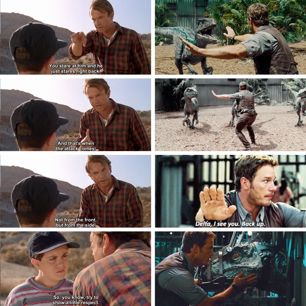 nmtbollocks:  I just read from Huffington Post about the theory that Owen Grady is