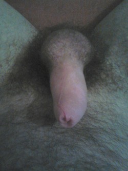 uncutsmellylad:My cheesy cock just now. It