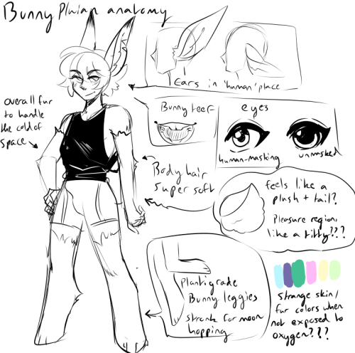 Some Ideas On My Alien Species, Bunnypluians :V