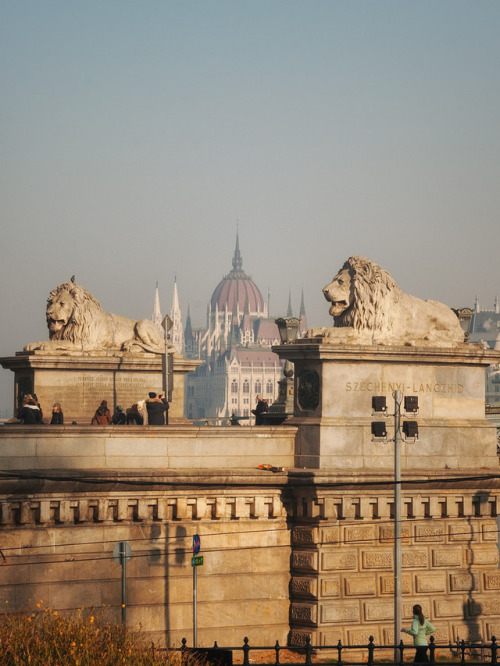 allthingseurope:Budapest, Hungary (by Alen Robovic)