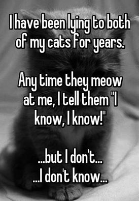 dharuadhmacha:  Heh… @sumisa-lily  Lol. It&rsquo;s so true @dharuadhmacha!