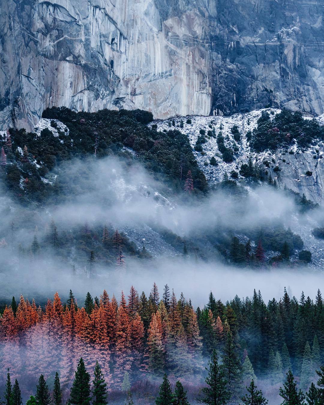 bon—-voyage:  Andy Best 