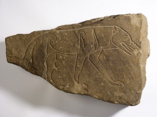 irisharchaeology:The Ardross Wolf stone, this Pictish artwork dates from circa 6th/7th century AD Im
