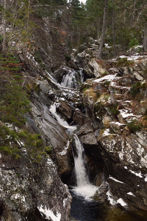 Falls of Bruar and House of Bruar, Cairngorms National ParkThis walk is a classic, especially when y