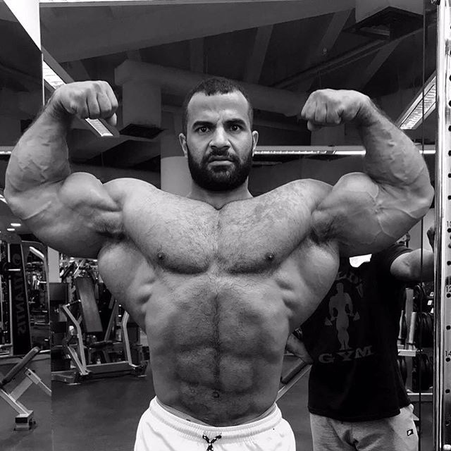 Ahmed el Wardany 