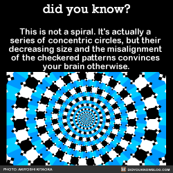 Friendshipismax:  Did-You-Kno:  This Is Not A Spiral. It’s Actually A  Series Of