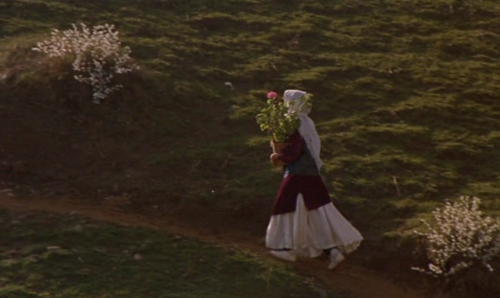 communicants:  Through The Olive Trees (Abbas Kiarostami, 1994)