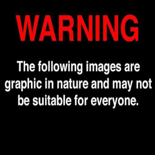 Sex Warning pictures