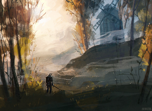 arnaerr: some good old landscapes inspired by the witcher prints: x | x btw INPRNT now offers a