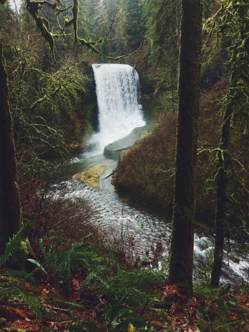 justapplyyourself:Silver Falls State Park. Silverton, Oregon.