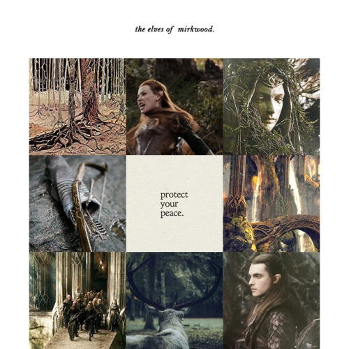 nenuials: the elves of mirkwood.edhelrim en taur-nu-fuin In the Wide World the Wood-elves lingered i