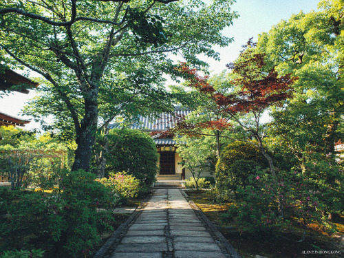 [ 京都 - 肆 ]旅遊書特別介紹嵐山的竹林與周邊的去處，我把這活動放在第三天的行程內，事原我是想去別處行山，不過一個在東、一個在西，比叡山如要行的話就需花上六小時，的確逗留天數不夠令我最終沒往這邊去