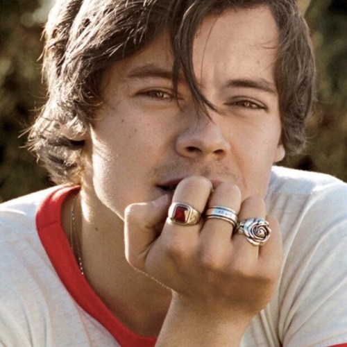 hairyharryhair - HairyHarryHair