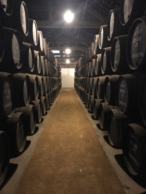 We visited these porto caves in Porto and I just had to see there urinals. Clean mensroom with pictu