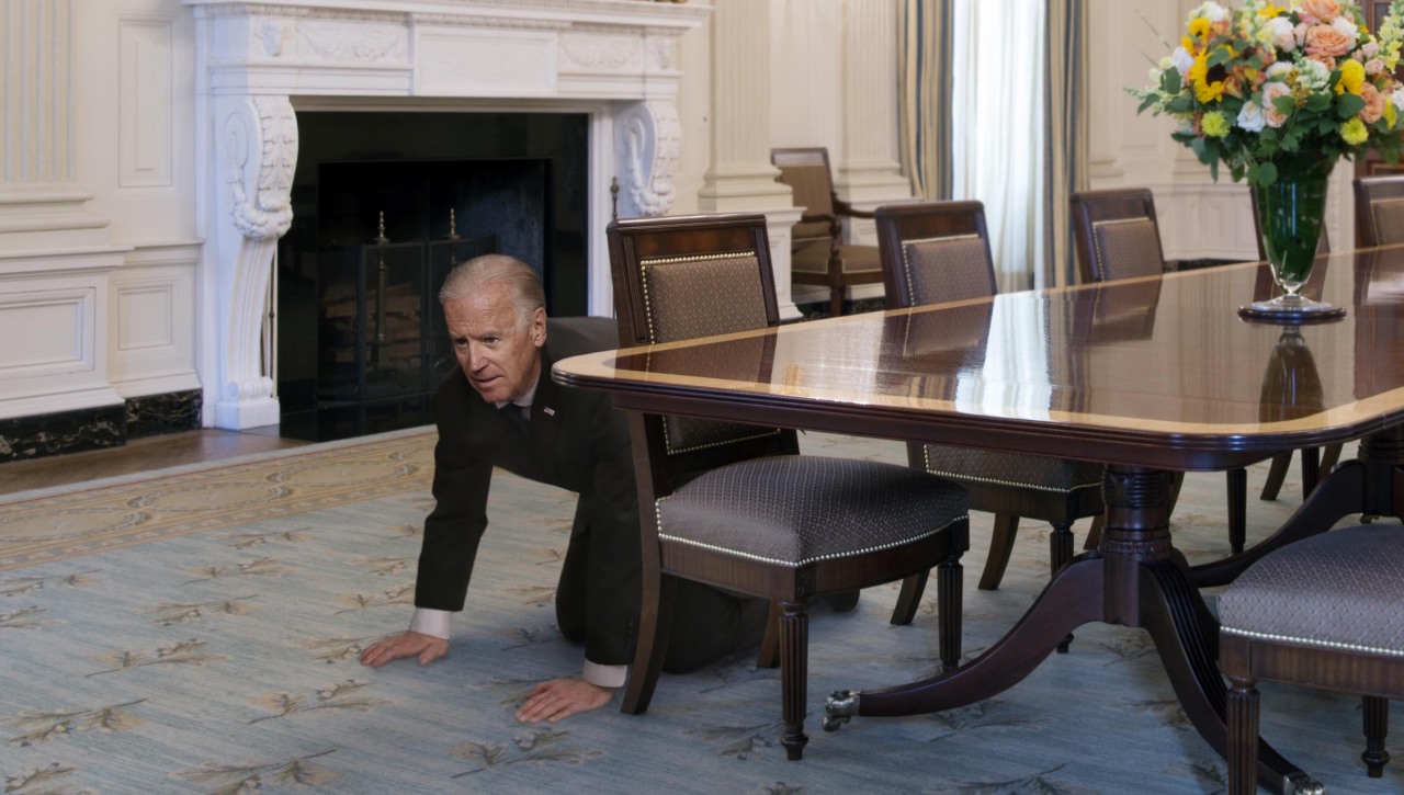 theonion:  Biden Searching White House One Last Time For Missing Pet SnakeWASHINGTON—Urging
