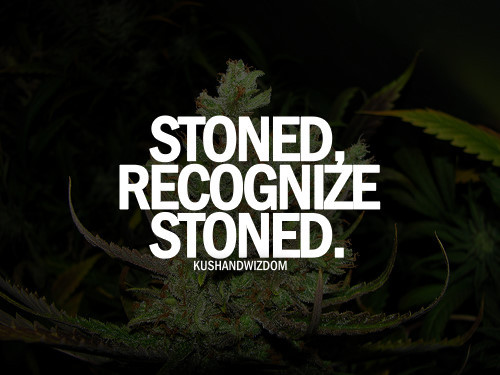 KUSHANDWIZDOM