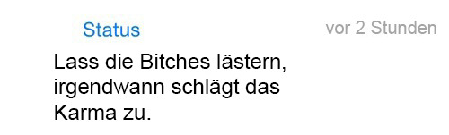 whatsapp-status:   Lass die Bitches lästern, irgendwann schlägt das Karma zu. 