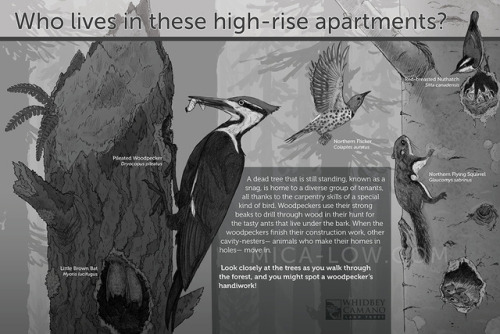 Some of what I’ve been working on for my Master’s thesis. There’s still a ways to go on this exhibit