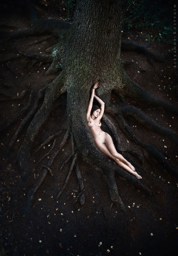 nicenudephotos:  The Tree of Life by AlexandrKostygin from http://bit.ly/1eisWtg 
