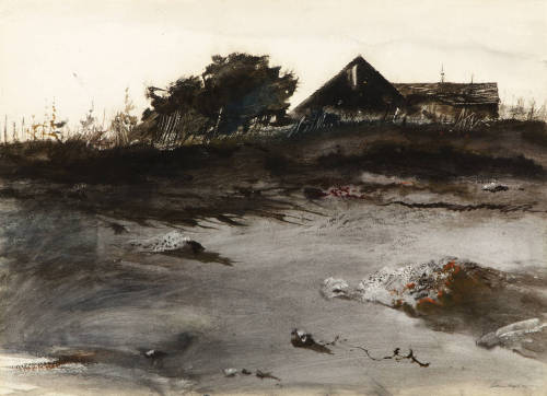 nemophilies:Wet Sand, 1952November First, 1950Andrew Wyeth.