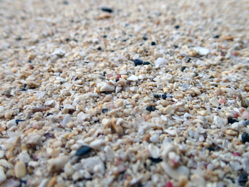 Lanikai Sand (O'ahu 2013)