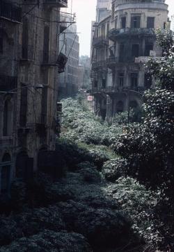 architectureofdoom:  grapenutt:  A ruined city  Green Line, Beirut 