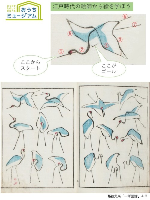 Drawing a crane in one continous line (well 3 counting the legs!) following Hokusaiexamples (cute dr