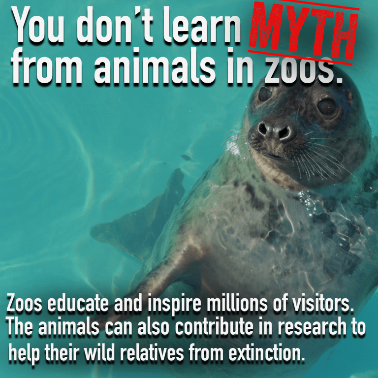 lovedrugsandfanfic:  coffeeandufos:  cephalopodvictorious:  useless-zoofacts: 6 zoo