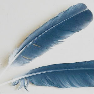 benaflecks:  moodboard: ravenclaw Where those of wit and learning will always find their kind