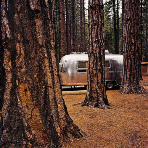 joeinct: Airstream at Yosemite National Park, CA, Photo by Roger Minick, 1980