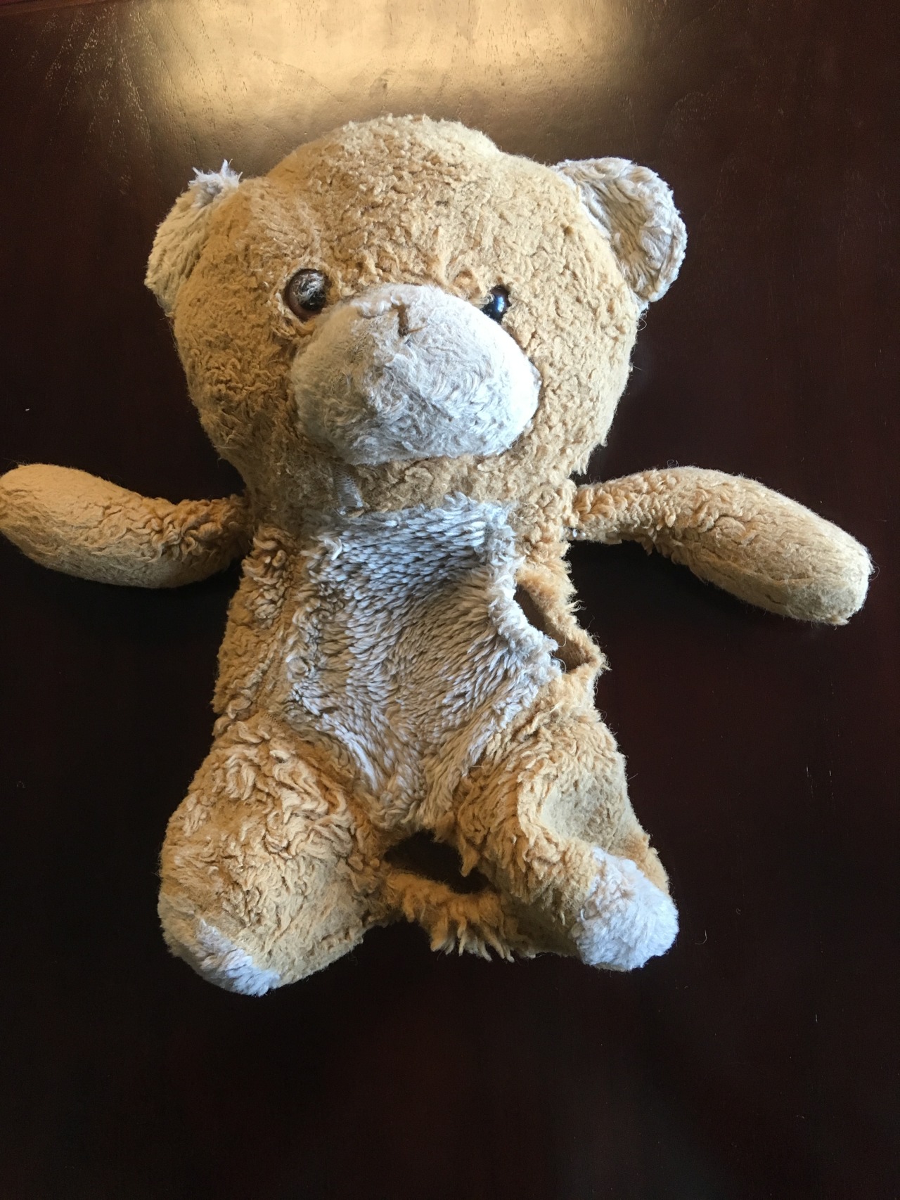 Teddy for Christmas