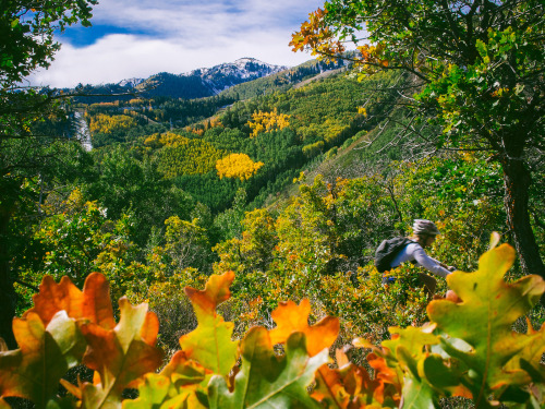 parkcitymtb:  Our Favorite Fall Ride Shots - www.parkcitymountainbike.com/favorite-fall-ridin