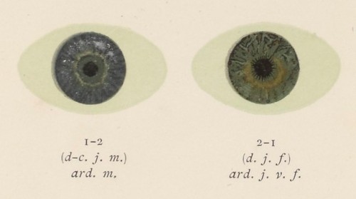 Tableau des Nuances de l'Iris Humain by Alphonse Bertillon (1893).Alphonse Bertillon was a French po