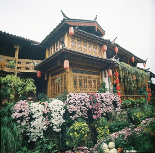 floralls: Autumn at Lijiang old town, China by Ngoc Hung 