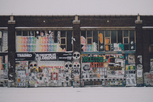 se17enteen:   untitled by chooseanalog on Flickr. 