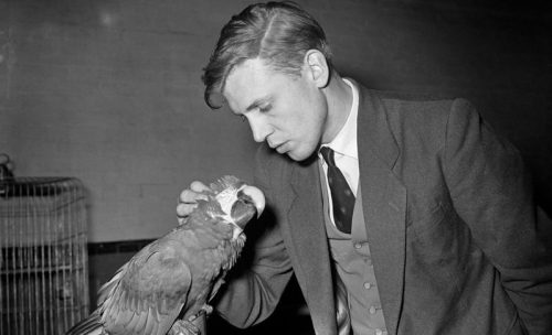 blondebrainpower:  Sir David Attenborough in the 1950′s